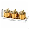 Stainless Steel Seasoning Container Set with Tray DustResistant ThreeCompartment Condiment Holder