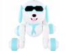 Fafik the Interactive Robot Dog Walks, Sings, Speaks Polish