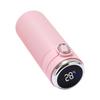Tri-polar Smart Temperature Display Insulated Bottle