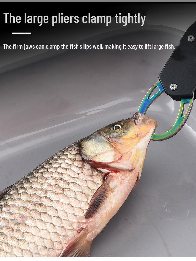 Pinze da Pesca Multifunzione: Rivestito in Teflon, Resistente alla Corrosione, Rimuovi Amo, Taglia Filo, Controllo Pesce, Pinze per Esche.