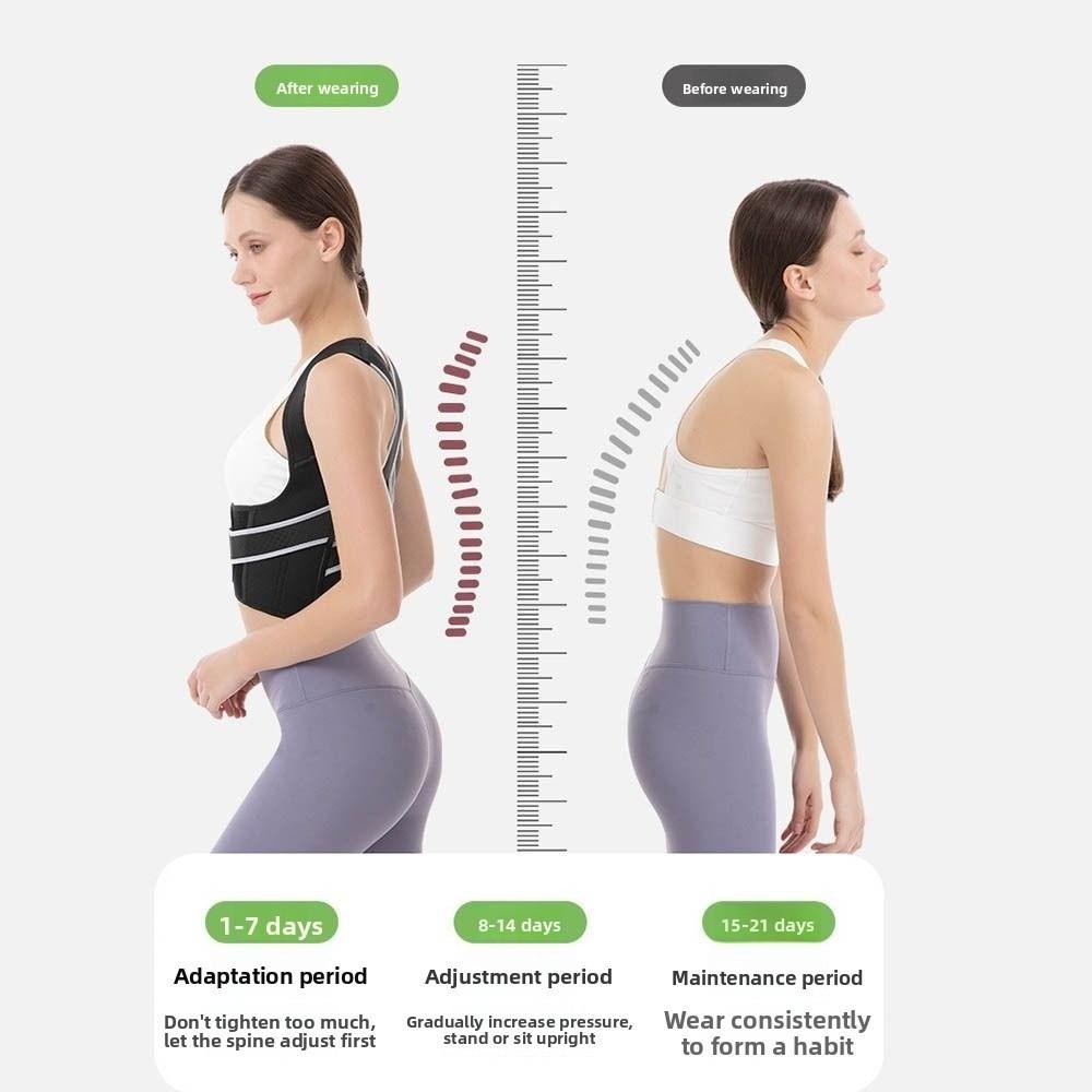 Volle Rückenstütze Rückenstützgurt Oberkörperstütze Rückenstrecker Täglicher Gebrauch