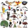 Animal Model Bird Toys: Peacock, Eagle, Bat, Owl, Toucan, Parrot - Educational Ornament for Kids