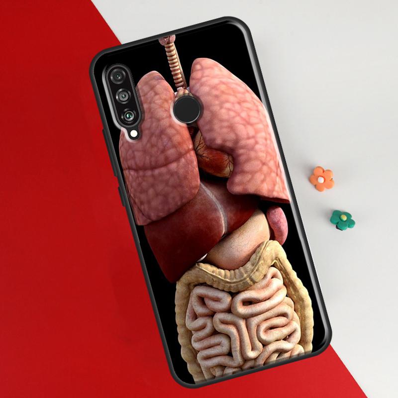 Medical Human Organs Heart Art Case For Honor 50 8X 9X 10i Cover For Huawei P30 P40 Lite P50 P20 Pro P Smart 2019 Nova 5T