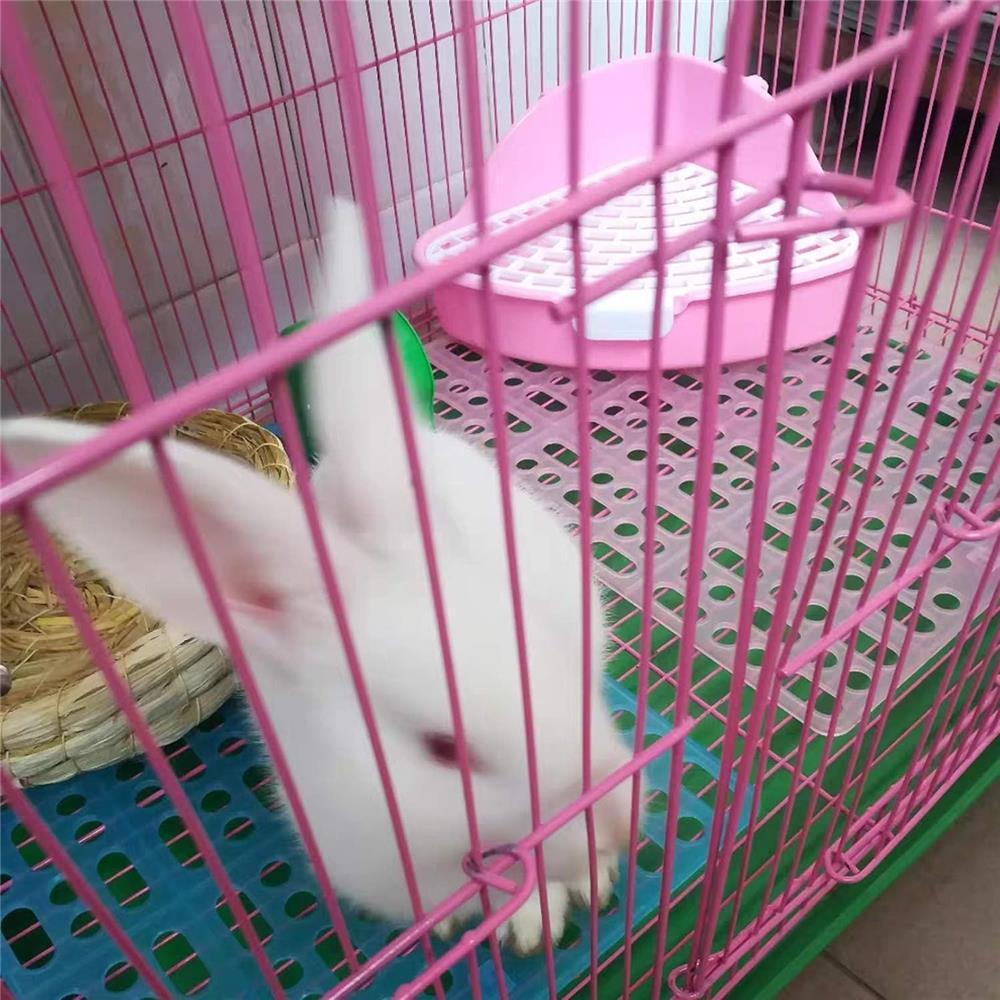 Rabbit Feet Pad,4 Piece Hole Leak Water Design For Plastic Bunny Feet Pad Playpen Feet Mats Plastic Rabbit Cage Mat