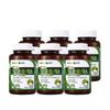 Triple Ginkgo Plus Ginkgo Leaf Supplement 6 Boxes (60 Tablets)