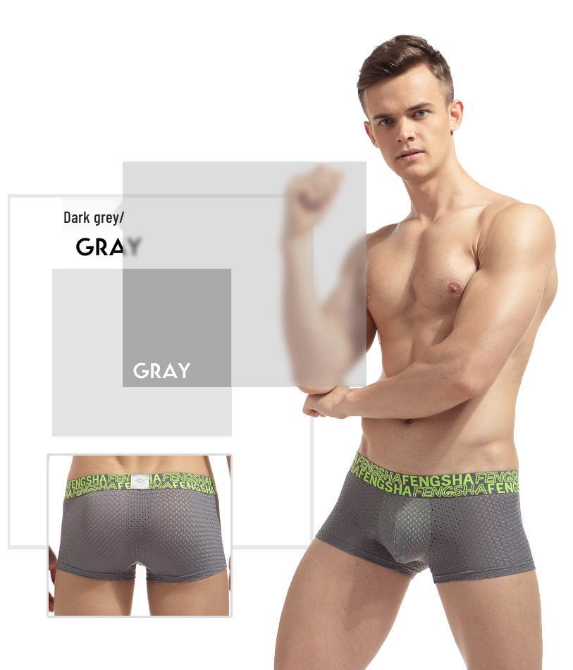 Men's Quick-Dry Ice Silk Mesh Boxer Briefs with U-Pouch