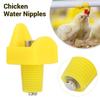10pcs Chicken Water Nipples Automatic Poultry Nipples Drinker Waterer Plastic Yellow