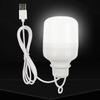 1PC outdoor USB LED light bulb power bank charging emergency light hook camping fishing portable tent lantern night light bulb