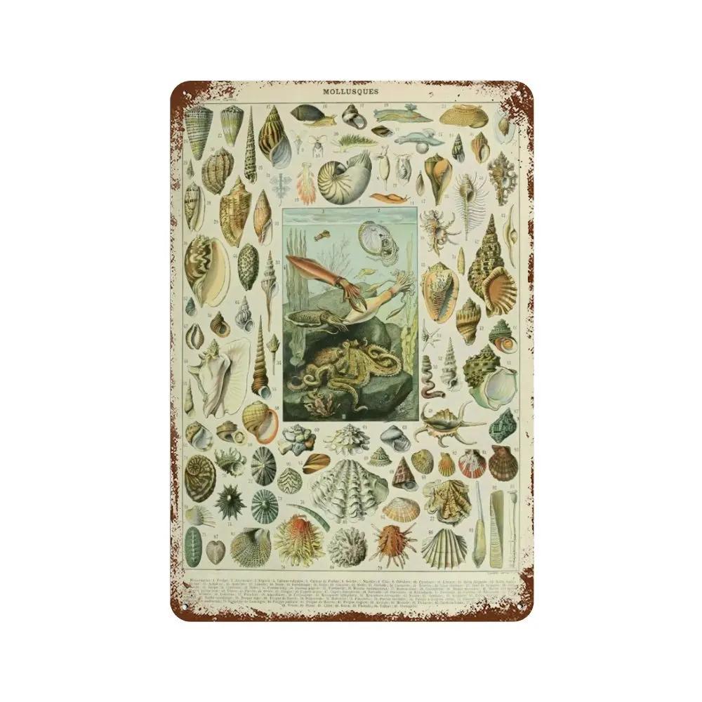 Vintage Pilz Medizin Blume Insekt Schmetterling Gemüse Kürbis Karotte Metall Aluminium Schilder Heim Zimmer Garten Wandkunst Pla