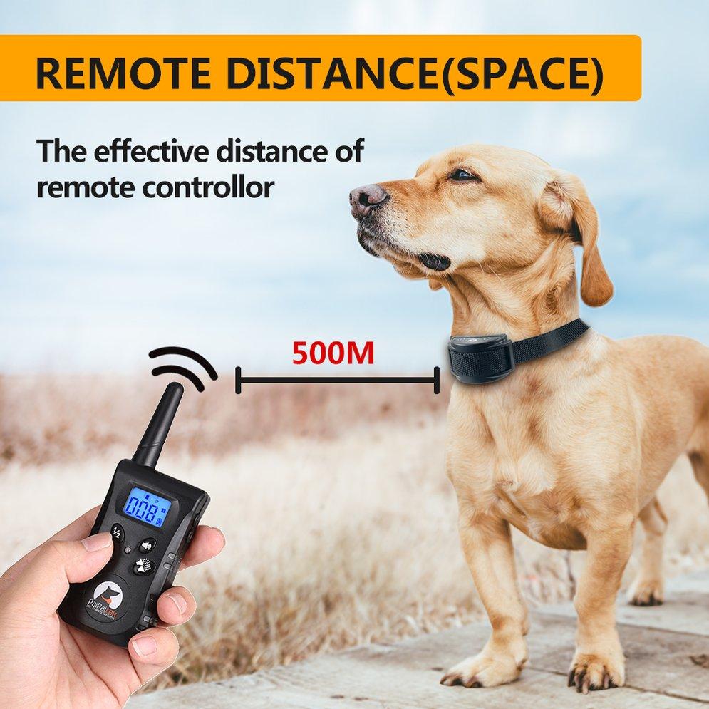 dog distance collar