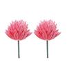 2pcs Colorful Fake Plant Plastics Artificial Flower Artistic Echeveria Chihuahuaensis  Home Decor