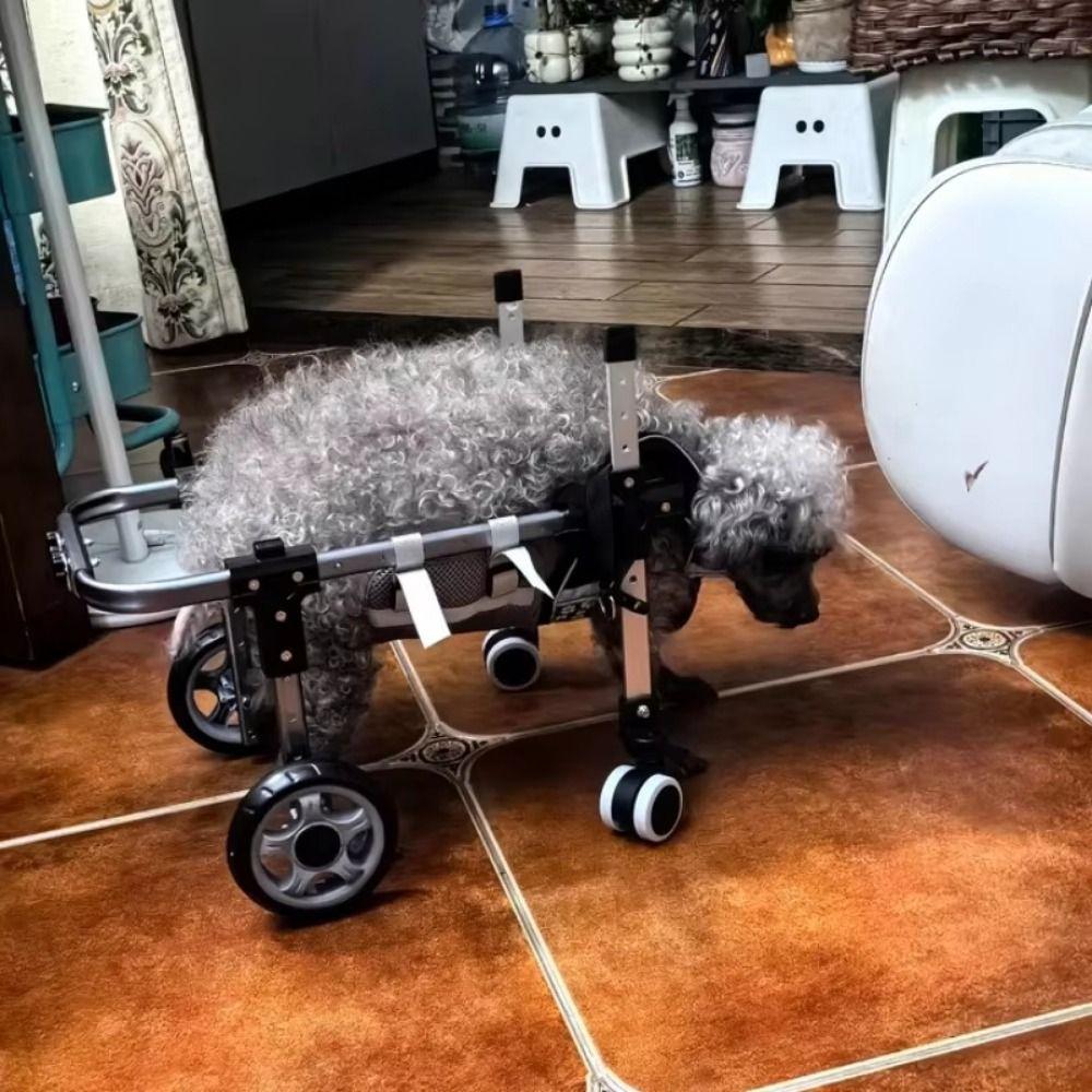 Lightweight Aluminum Pet Mobility Cart Adjustable Pet Rehabilitation Wheelchair  Pet Mobility