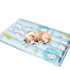 Pet Cooling Mat for Dogs and Cats - Summer Cool Pad & Sleeping Cushion