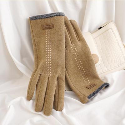 Winter Warme Handschuhe De Samt Damen Handschuhe Plus Samt Reiten Koreanische Nette Fahren Kalten Touchscreen Handschuhe