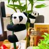 Little Panda Hugging Bamboo Tree Ornament
