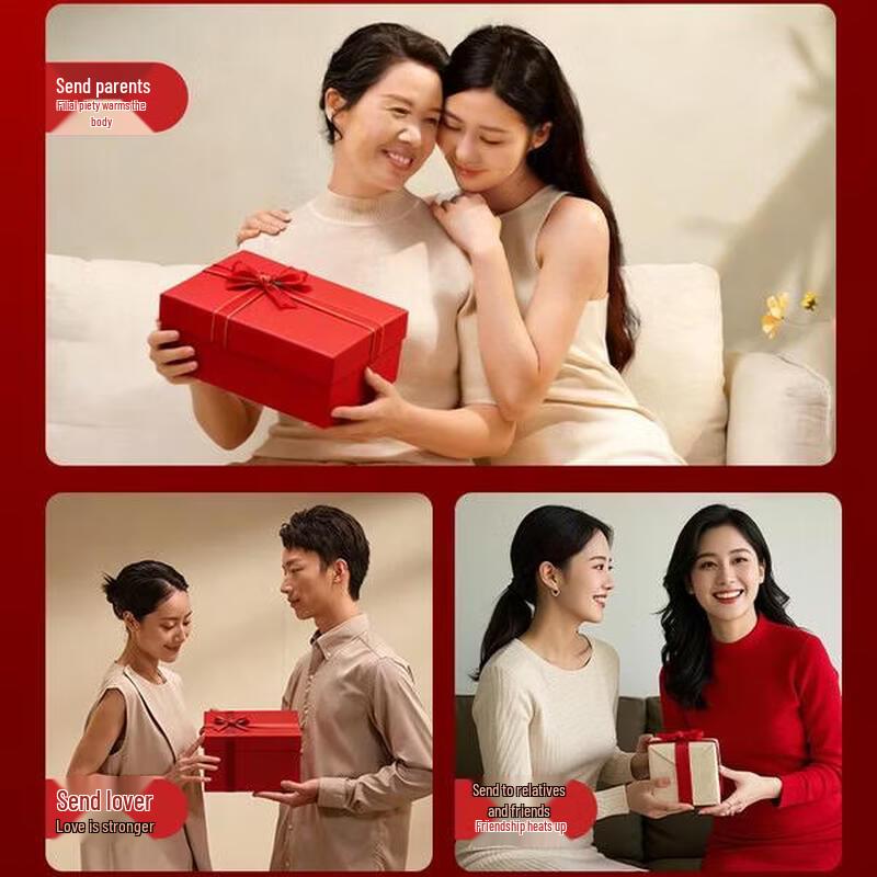 Breo Back2Pro Waist Massager Cushion CN plug (adapter included)