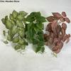 Green Plant Artificial Green Plant Leaves Plastic Real Touch Simulation Epipremnum Plant Handmade Realistic Fake Hanging Plants