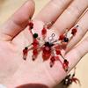 Colorful Beaded Spider and Spider Web Decorations Crystal Halloween Decorations  Haunted House