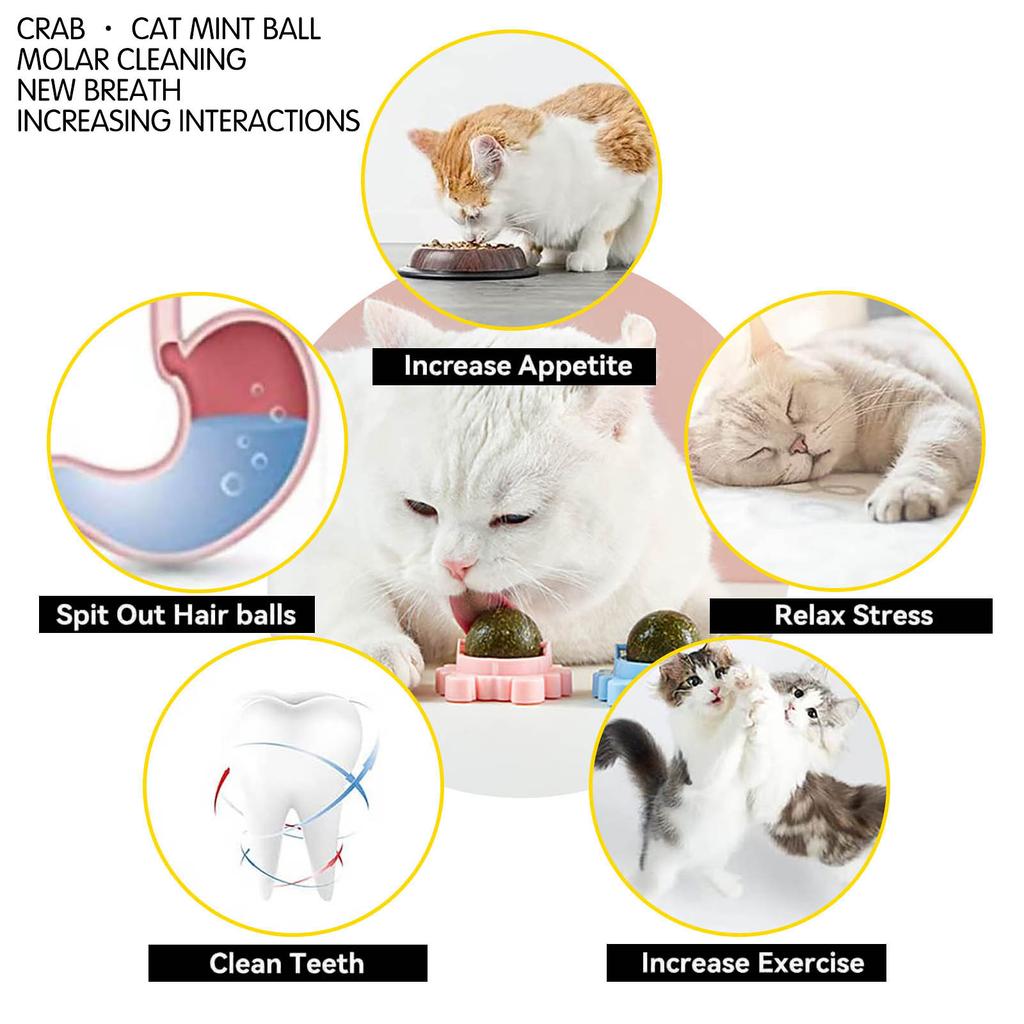 Catnip Wall Balls, Toys For Cats, Catnip, Wall Roller For Cats, Teeth Cleaning, Naturally Rotating For Indoor Use