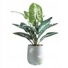 Artificial Plant Flower In A Pot For Home Office Realistic 40Cm Alocasia