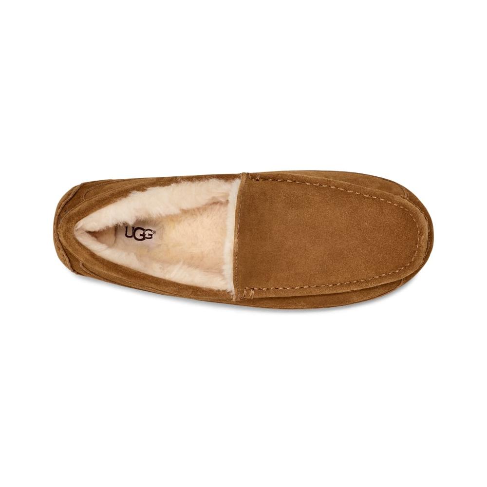 Slippers UGG Chesnut Ascot