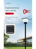 High Brightness Solar Courtyard Lights: Outdoor Garden & Villa Aluminum Landscape Lighting