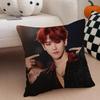 singer charming BBaekhyun Cushion Cover Throw Pillow Cover Hidden Button Durable Polyester Chair Cushion