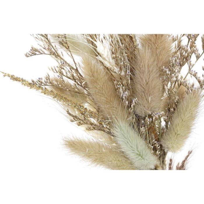 Décoration fleur séchée - 16 x 6 x 21 cm - Beige - Marron - Vintage et rustique