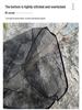 Portable Large Fish Landing Net with Stainless Steel Ring for Catching and Transporting