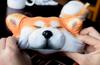 Weiche und flauschige Shiba Inu Tasche möchte zum mit Kartenetui [Monshop] "Gonta will nicht prüfen"