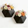 Wall-Mounted Hexagonal Flower Pot Geometric Growing Pots Wall Hanging Planter  Indoor Plants