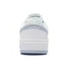 Li Ning ACE V2 Abrasion Resistant Breathable Low top Skateboard Shoes Women's White Gray AGCS156-1