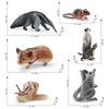 Realistic Forest Animal Models Set Including Hamster Snail Sugar Glider Mouse Meerkat Anteater For Kids Educational Playtime Fun