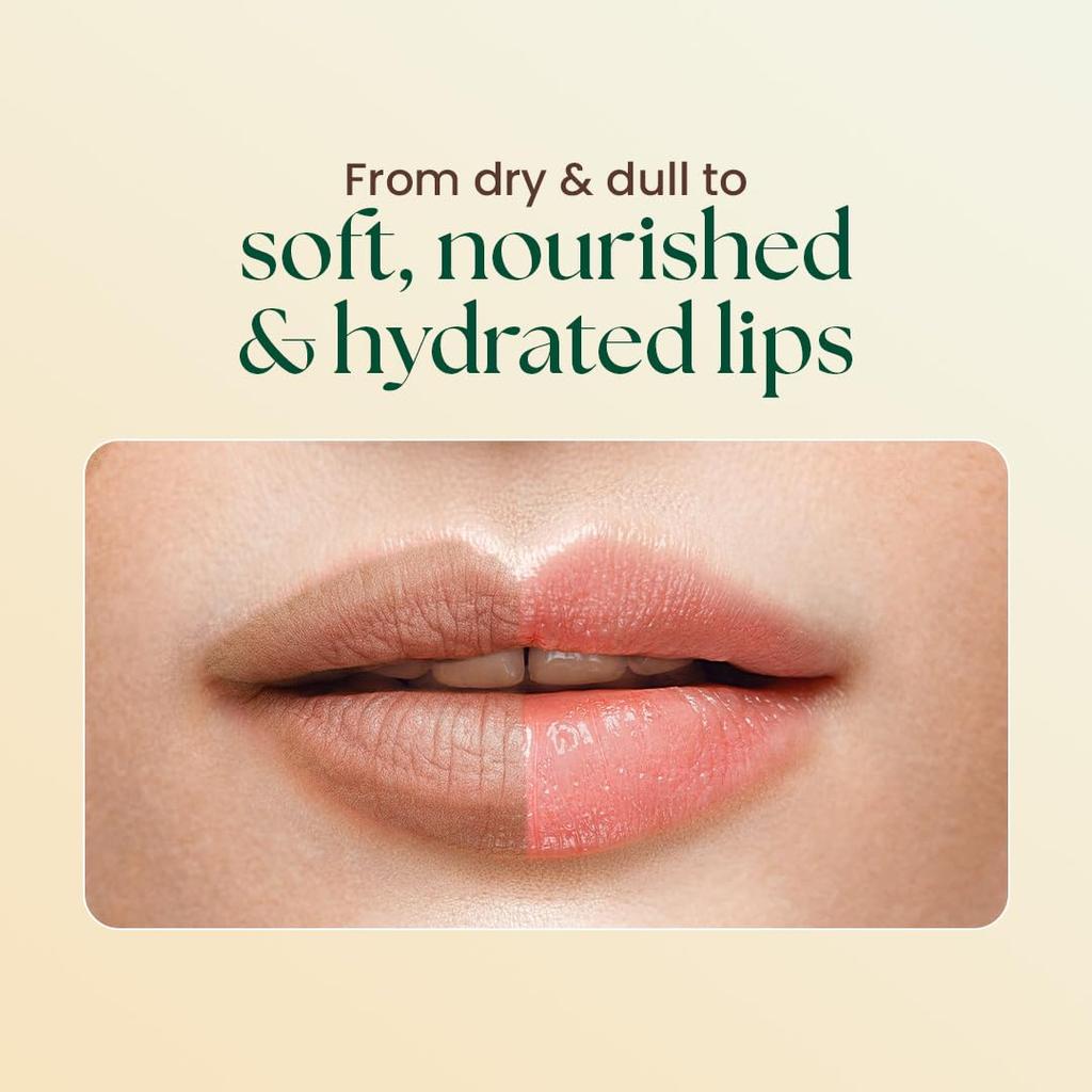 MOHA Lip Butter 10g Pack of 1 | Lip Balm for Dry Pigmented Lips with Cocoa Shea Butter Pomegranate Vitamins C & E