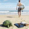 Resin Turtle Key Storage Box Decorative Desktop Organizer for Home Multifunctional Hidden Compartment Ornament Sculpture