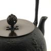 Takaoka Kupferwaren Kita Shobei Eisen Größe Takaoka Eisen Hergestellt in Produktnummer 25642 Wachsgeformte Teekanne, Maruyamasui, 10, Ca.. 1,7L Fassungsvermögen, Teekanne,