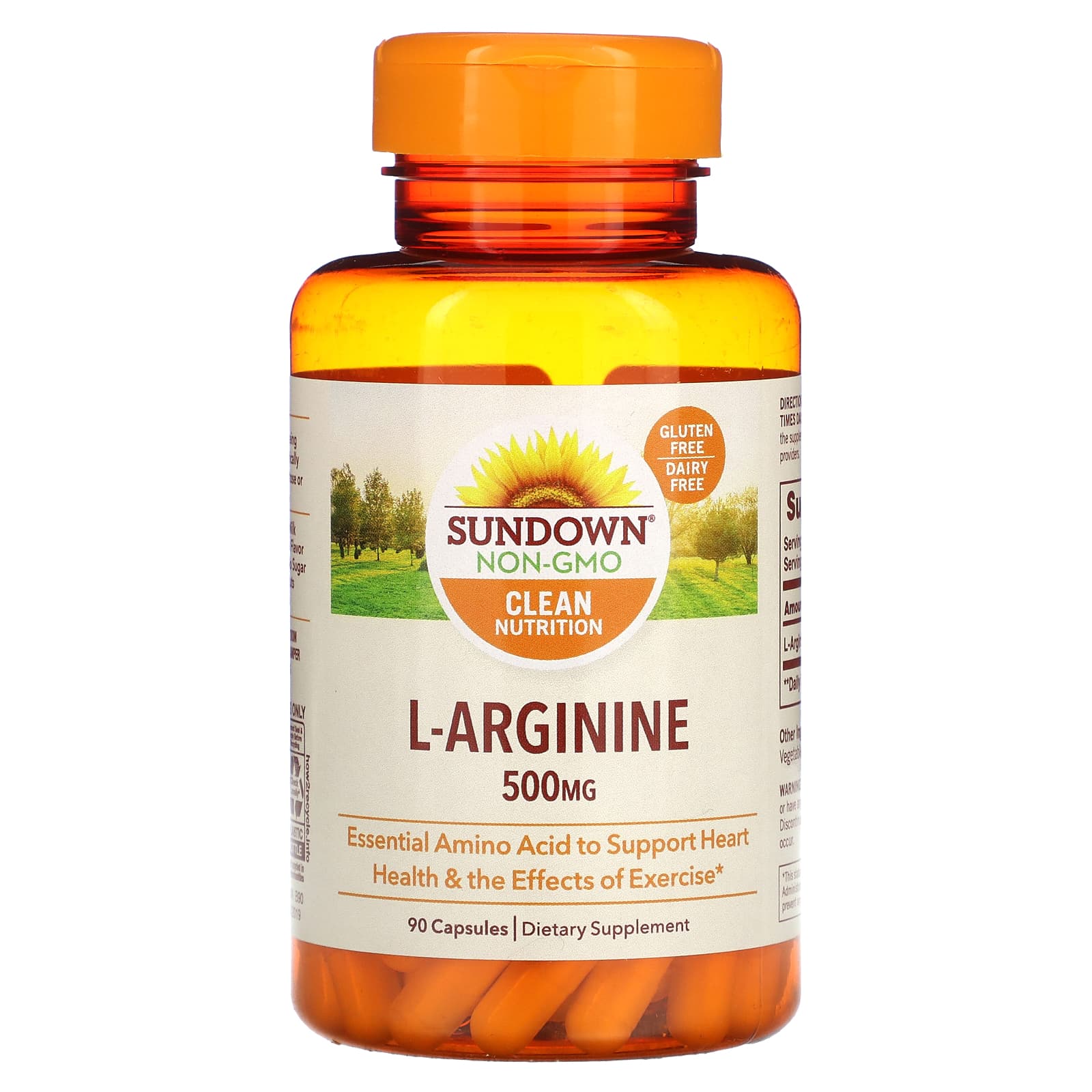 

Sundown Naturals, L-аргінін, 500 мг, 90 капсул