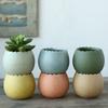 Drainage Half Dragon Egg Shell Design Ceramic Flower Pot Succulent Pots Garden Pots