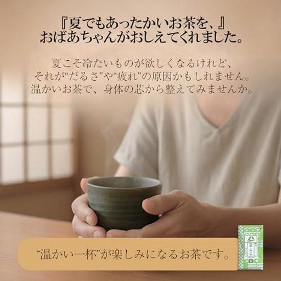 Ocha no Yamaei Fukamushi Kakegawa Thé Première Récolte Feuilles Vertes Premium 110g Produit de Shizuoka Prêt à Offrir