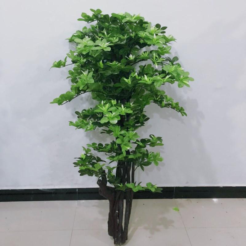 Большое искусственное дерево магнолии, 2 м - Денежное дерево для декора гостиной и отеля