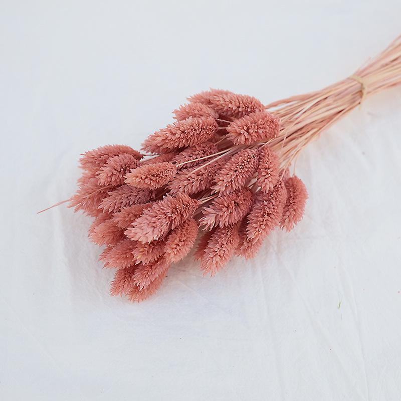 Natural Dried Statice Flower Bouquet - Everlasting Decoration for Vase & DIY Arrangements