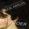 Asunder by Chloe Aridjis Paperback Book 9780099572756