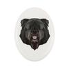 Bouvier Des Flandres -Płytka Ze Zdjęciem I Napisem Geometryczna Marki Art-Dog