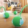 Cross-Border Cat and Dog Rolling Amusement Ball - Interactive Pet Toy for Boredom Relief