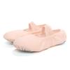 Women/Girls' Ballet Shoes Canvas Flat Split Soft Sole Dance Slippers Adult Gymnastics Belly Yoga Ballerina Training Shoes