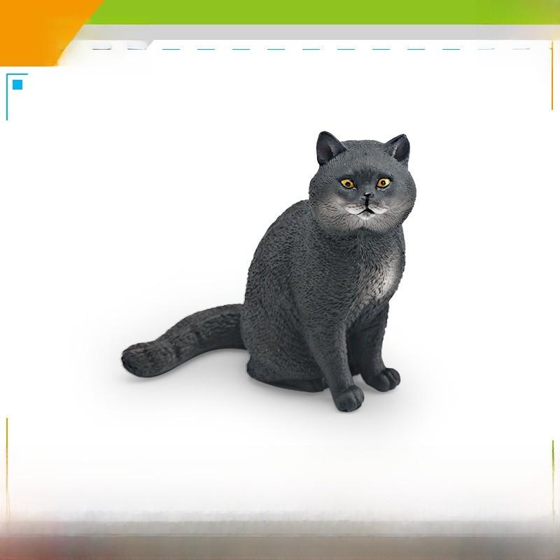 Ragdoll Katze Somali Katze Figur Für Kinder PVC Tier Modell Katze Zum Lernen Spielen
