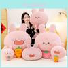 Asamimi Character Plushie Soft Bunny Grabber Toy With Pp Cotton Filling For Gift