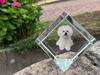Bichon Frise, Bichon Tenerife, Bichon a poil frise – Crystal cube with a photo, photo of a horse in crystal | Art-Dog