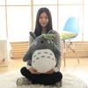 Adorable Japanese Anime Totoro Plush Toy with Lotus Leaf Stuffed Anime Totoro Doll Pillow Laugh Totoro Doll Soft Totoro Plushies
