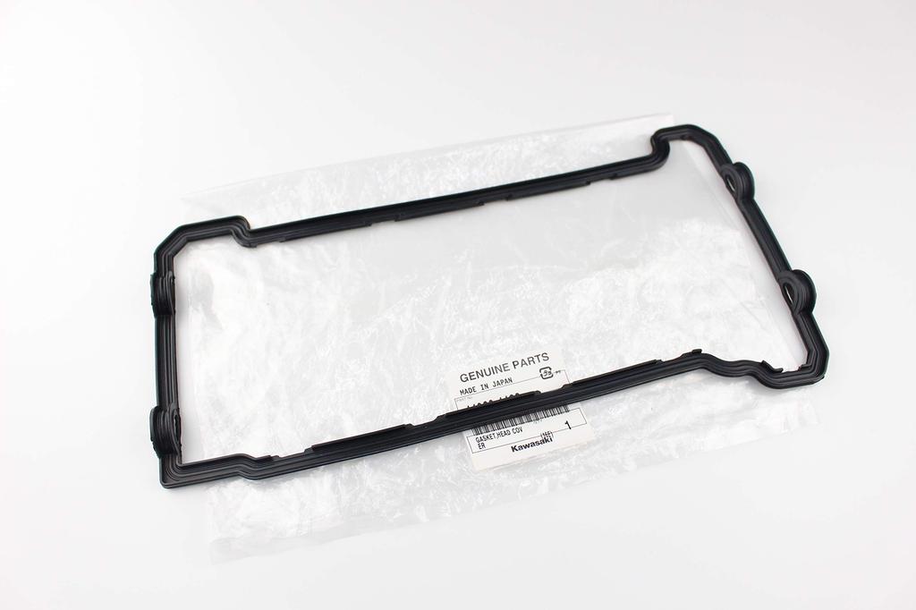 Genuine Barrios Head Cover Gasket (110601133)